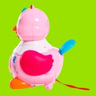 Развивающая игрушка «Курочка», световые и звуковые эффекты, несёт яйца, МИКС - Фото 9