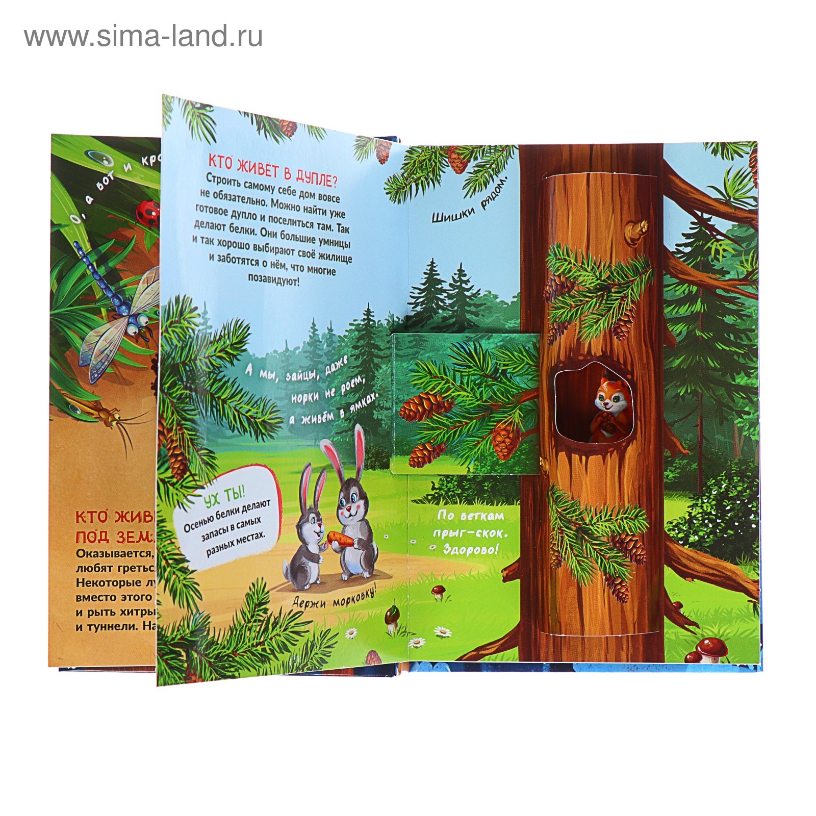 Купить Книгу Школа Жуковой Кто Где Живет
