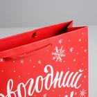 Пакет ламинированный горизонтальный «Новогодний подарок», M 30 × 26 × 9 см - Фото 4