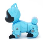 Робот собака «Паппи» , с программированием, на пульте управления, интерактивный: звук, свет, на аккумуляторе, голубой - фото 8496278