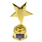 Звезда «Золотой папа», наградная фигура, золото, металл, 15 см. - фото 8363500