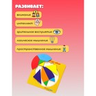 Головоломка «Колумбово яйцо» - Фото 2