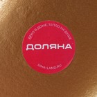 Блюдо для фруктов Доляна «Золотой лист», 40×11.5 см, золотое - Фото 6