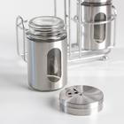 Набор для специй на подставке «Стиль», 2 предмета: солонка и перечница, 80 мл, стекло - Фото 2