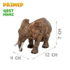 Фигурка животного «Мир диких животных», МИКС - Фото 5