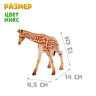 Фигурка животного «Мир диких животных», МИКС - Фото 6