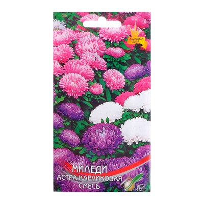 Семена цветов Астра карликовая "Миледи" смесь, О, 90 шт