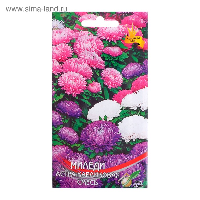 Семена цветов Астра карликовая "Миледи" смесь, О, 90 шт - Фото 1