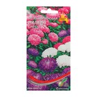 Семена цветов Астра карликовая "Миледи" смесь, О, 90 шт - Фото 3