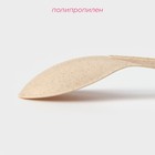 Ложка гарнирная Доляна «Беж», 28.5 см, бежевая - Фото 2