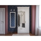 Зеркало навесное Ливерпуль 03.242, 500х20х1400, Ясень ваниль - Фото 2