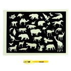 Набор для творчества «Рисунки светом» на магнитной основе, зверята - Фото 3