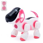 Робот собака «Ки-Ки», программируемый, на пульте управления, интерактивный: звук, свет, танцующий, музыкальный, на батарейках, на русском языке, розовый - фото 318244629