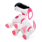 Робот собака «Ки-Ки», программируемый, на пульте управления, интерактивный: звук, свет, танцующий, музыкальный, на батарейках, на русском языке, розовый - фото 8497531