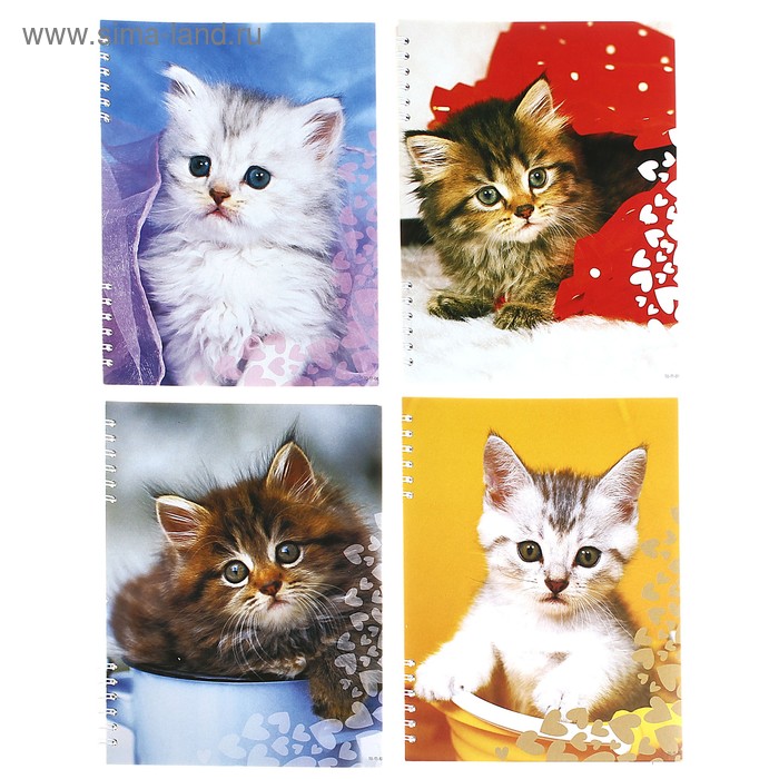 Тетрадь 80 листов клетка на гребне "Кошки", картонная обложка, 4 вида МИКС - Фото 1
