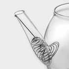 Заварочный чайник «Эко. Бабл», 800 мл, 22×12.5×15 см, с бамбуковой крышкой, металлический фильтр, стекло, прозрачный - Фото 5