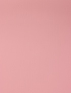 Пленка для цветов перламутровая «Бархат», жемчужный, 0,5 х 10 м - фото 43225427