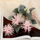 Цветы искусственные «Астра Комета», 7×53 см, розовые - фото 42973491