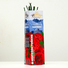 Саженец розы Адажио Серия "Премиум", 1 шт, Весна 2024 - Фото 2