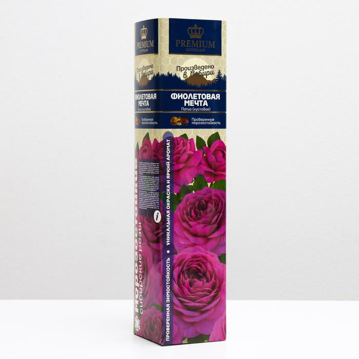Саженец розы Фиолетовая мечта Весна 2024, 1 шт. - Фото 1