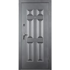 Входная дверь «ДОРЭКО 6», 2050 × 880 левая, цвет антик серебряный - фото 298244215