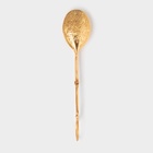 Щипцы для подачи «Рахат золото», h=22 см, цвет золотистый - Фото 1