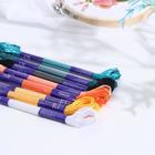 Набор ниток мулине «Расписная шкатулка», 8 ± 0,5 м, 8 шт - Фото 1