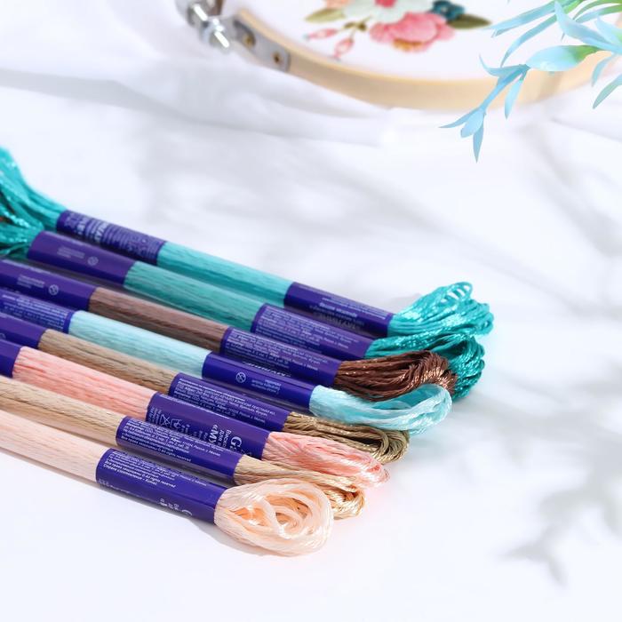 Набор ниток мулине «Винтажные оттенки», 8 ± 0,5 м, 8 шт - Фото 1