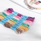 Набор ниток мулине «Ассорти меланж», 8 ± 0,5 м, 9 шт - фото 24615739