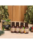 Новогодний набор эфирных масел «Богатства и процветания», пихта, кедр, мята, апельсин, 4 шт. по 15 мл - Фото 2