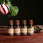 Новогодний набор эфирных масел «Крепкого здоровья», сосна, пихта, эвкалипт, мята, 4 шт. по 15 мл - Фото 2