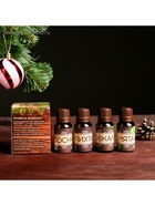 Новогодний набор эфирных масел «Крепкого здоровья», сосна, пихта, эвкалипт, мята, 4 шт. по 15 мл - Фото 4
