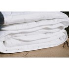 Одеяло «Бамбук», размер 172 × 205 см, бязь - Фото 2