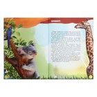 Энциклопедия 4D в дополненной реальности «Знакомство с животными» - Фото 4