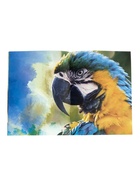 Энциклопедия 4D в дополненной реальности «Знакомство с животными» 4651992