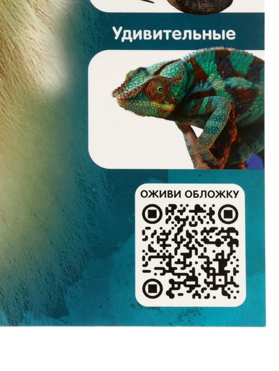 Энциклопедия 4D в дополненной реальности «Знакомство с животными»