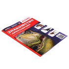 Энциклопедия 4D в дополненной реальности «Знакомство с динозаврами» - фото 3844198