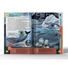 Энциклопедия 4D в дополненной реальности «Подводные жители» - Фото 3