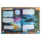 Энциклопедия 4D в дополненной реальности «Тайны океанов» - Фото 5