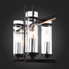 Люстра подвесная St Luce. SL334.403.07. Bichero. 7х60 Вт, E14, 66х20х67 см, цвет чёрный, никель - Фото 14