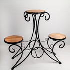 Подставка для цветов, с деревом, на 3 цветка, цвет чёрный - Фото 1