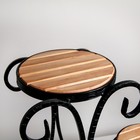 Подставка для цветов, с деревом, на 3 цветка, цвет чёрный - Фото 2