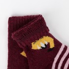 Носки детские махровые шерстяные, цвет МИКС, размер 18 - фото 24071903