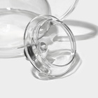 Заварочный чайник Доляна «Элегия», 600 мл, 19×13×12.5 см, металлическое сито, стекло - Фото 4