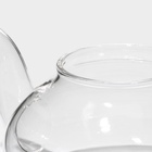 Заварочный чайник Доляна «Элегия», 600 мл, 19×13×12.5 см, металлическое сито, стекло - Фото 7