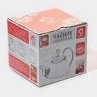 Заварочный чайник Доляна «Элегия», 600 мл, 19×13×12.5 см, металлическое сито, стекло - Фото 9