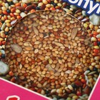 Корм Seven Seeds SUPERMIX для волнистых попугаев, 1 кг - Фото 5