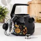 Чайник эмалированный со свистком Pasta, 3 л, индукция, цвет чёрный - Фото 2