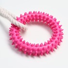 Игрушка канатная с жевательными элементами "2 шипастых кольца", до 29 см, до 120 г, микс - фото 20988253