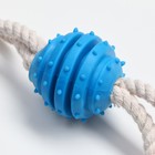 Игрушка канатная с жевательными элементами "2 шипастых кольца", до 29 см, до 120 г, микс - фото 20988254